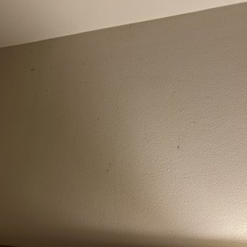 Princeton Marriott at Forrestal - I thought this was dust but upon closer inspection it was mold - Hotels Near Me - Princeton, New Jersey Princeton Marriott at Forrestal - I thought this was dust but upon closer inspection it was mold - Hotels Near Me - Princeton, New Jersey