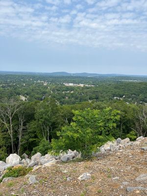 Land Trust of North Alabama by null