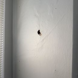 They left the nail holes in the wall. The bigger hole happened because of crumbling drywall behind it and there was traces of rodent poop They left the nail holes in the wall. The bigger hole happened because of crumbling drywall behind it and there was traces of rodent poop
