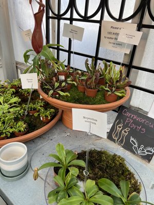 SARGENT’S ON 2ND - Updated September 2024 - 141 Photos - 1811 2nd St SW ...