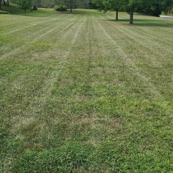Nwi Quality Cuts - Landscaping Near Me