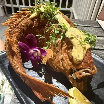 High Tide Social House - Oh Snap! Snapper served whole.  Cookery perfection. - New American Near Me - Cape Coral, Florida
