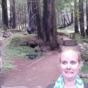 Limekiln State Park - Campgrounds Near Me - Big Sur, California