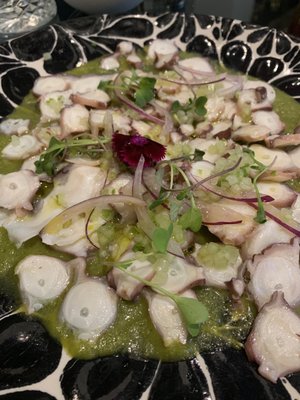 Casa Barroca by null