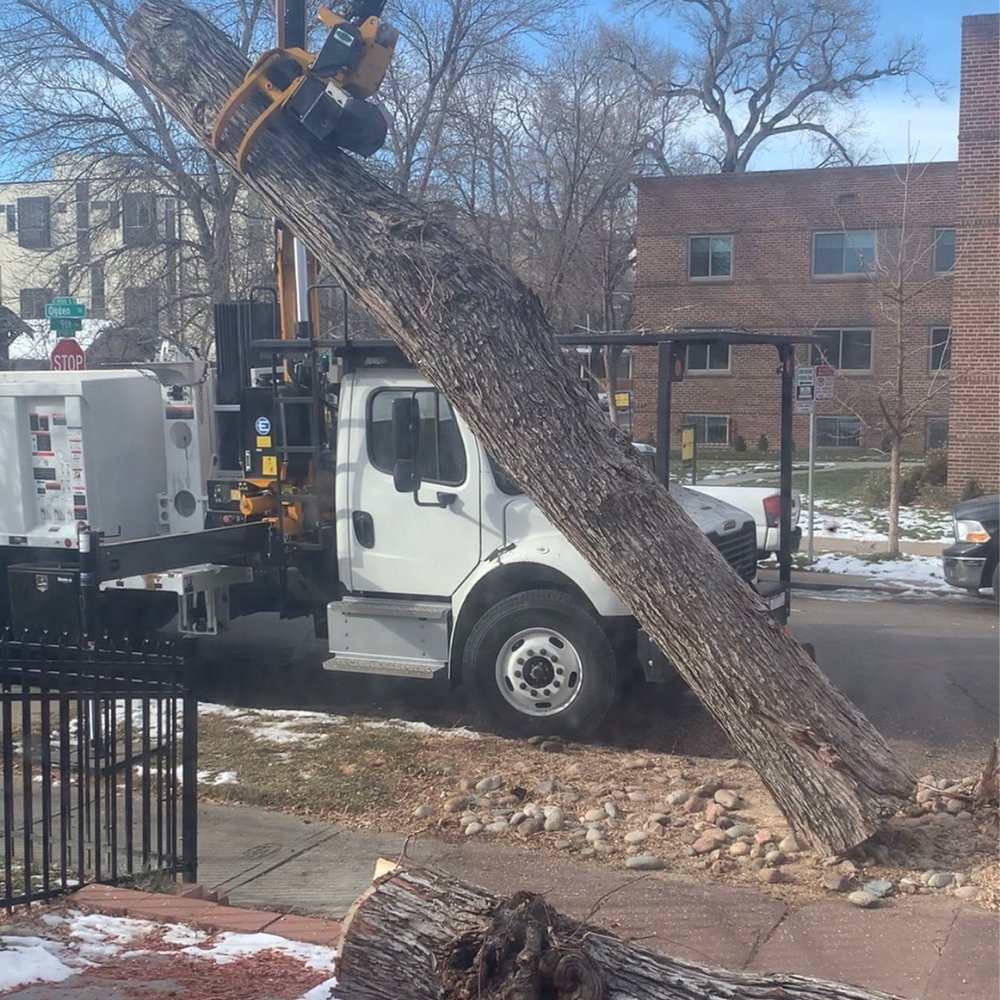 5280 Trees - Tree Services Near Me