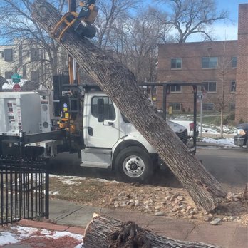 5280 Trees - Tree Services Near Me