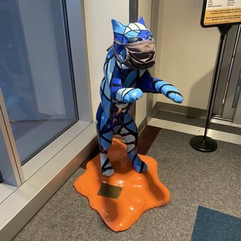 UK Advanced Eye Care - Masked Wildcat - Optometrists Near Me - Lexington, Kentucky UK Advanced Eye Care - Masked Wildcat - Optometrists Near Me - Lexington, Kentucky