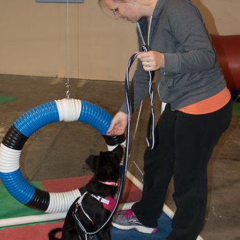 Friends For Life Dog Training - Puppy working the confidence course.. - Pet Training Near Me - Redmond, Oregon Friends For Life Dog Training - Puppy working the confidence course.. - Pet Training Near Me - Redmond, Oregon