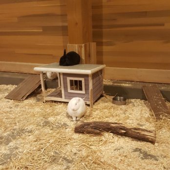Edmonton Valley Zoo - Zoos Near Me - Edmonton, Alberta