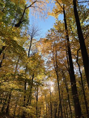 Hudson Highlands State Park by null