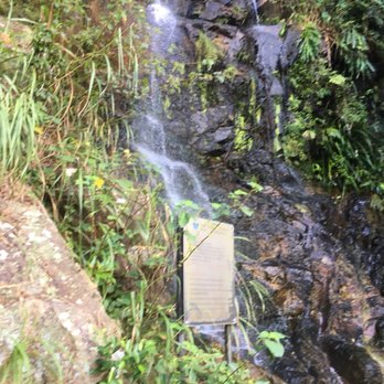 山頂環迴步行徑 - Hiking Near Me - Hong Kong, HK