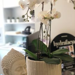 Medspa Beauty Clinic
