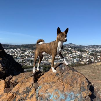 Bayview Park - Hunting! - Parks Near Me - San Francisco, California