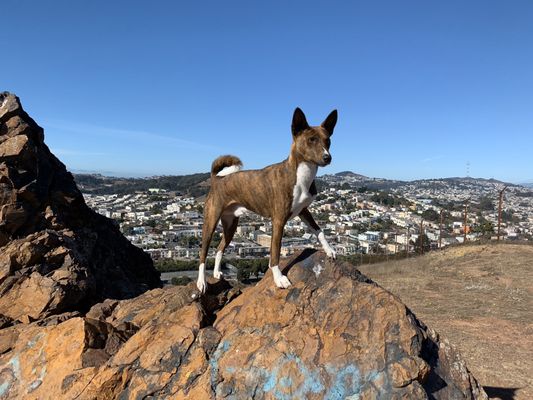 Bayview Park by null