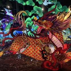 Chinese Lantern Festival - Dragon