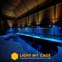 Light My Cage