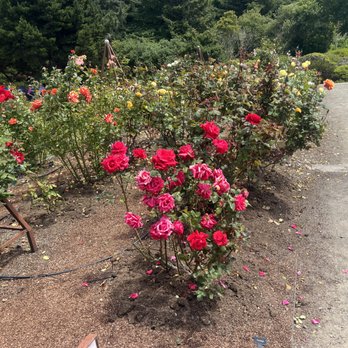 Humboldt Botanical Garden - Community Service/Non-Profit Near Me - Eureka, California Humboldt Botanical Garden - Community Service/Non-Profit Near Me - Eureka, California