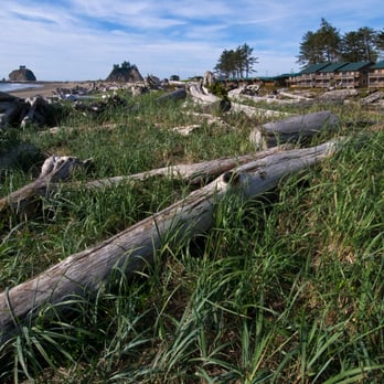 Quileute Oceanside Resort - Thunderbird and Whale motel units in Quileute Resort, proximity to First Beach, La Push - Hotels Near Me - La Push, Washington