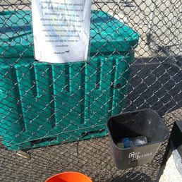 Fish food is free! Fish food is free!