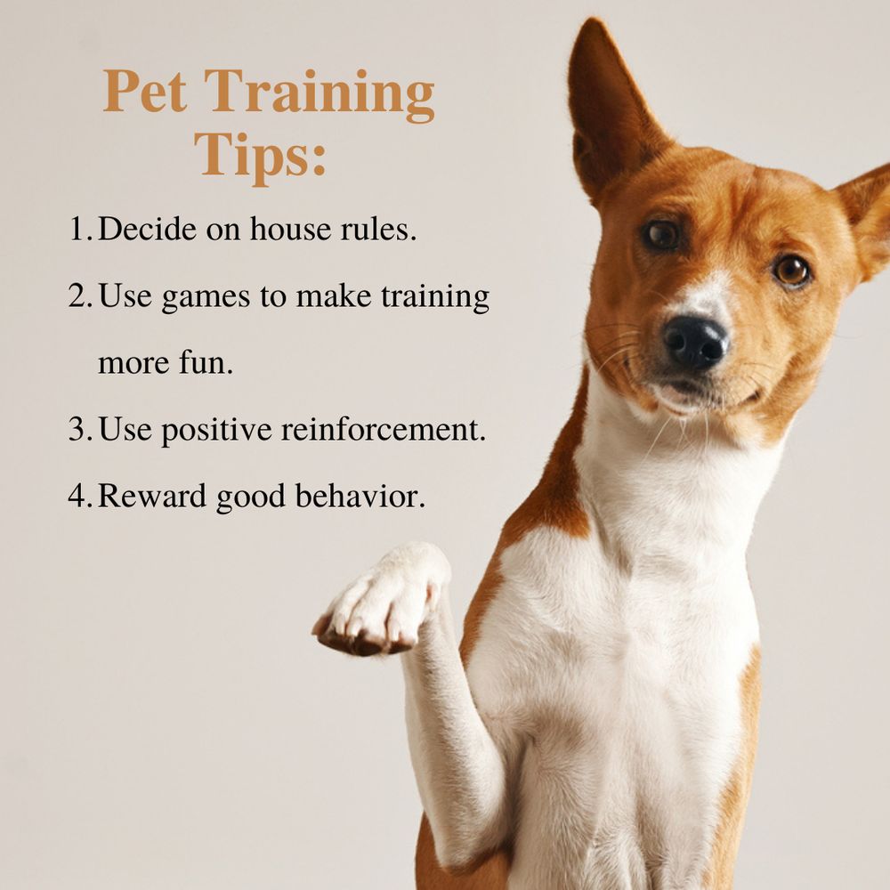 Hillview Animal Hospital & Clinic - pet boarding facility in Louisville, KY