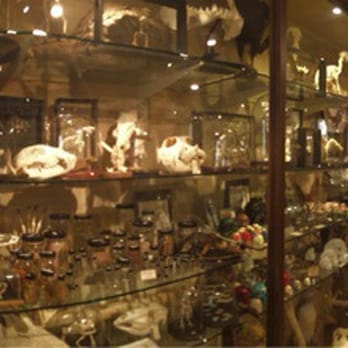 The Evolution Store - Upstairs panoramic - Home Decor Near Me - New York, New York
