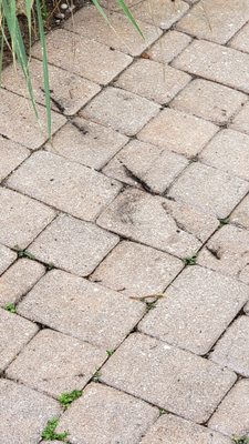 Total Home Roofing Logo