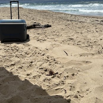 Monterey State Beach - Beaches Near Me