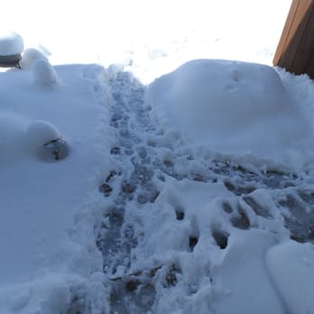 Homestead Management - No snow removal 36 hours after March 24, 2016 snow ended - Property Management Near Me - Westminster, Colorado Homestead Management - No snow removal 36 hours after March 24, 2016 snow ended - Property Management Near Me - Westminster, Colorado
