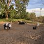 Photo of Broder Family Homestead Park