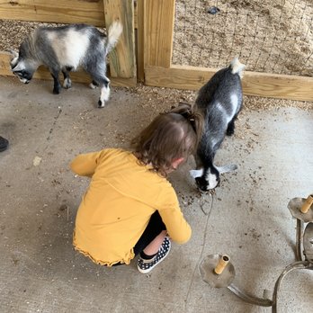 Two by Two Petting Zoo - Petting Zoos Near Me - Monroe, North Carolina