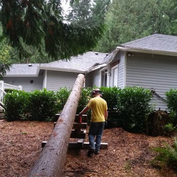 A-1 Tree Service Conservation - Tree Services Near Me - Monroe, Washington