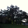 Photo of Blessed Sacrament Catholic Church