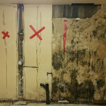 Meridian Environmental - Dont let this happen to you - Environmental Abatement Near Me - Englewood, Colorado