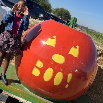 Nick and Ray’s Pumpkin Patch - Attraction Farms Near Me - Sacramento, California