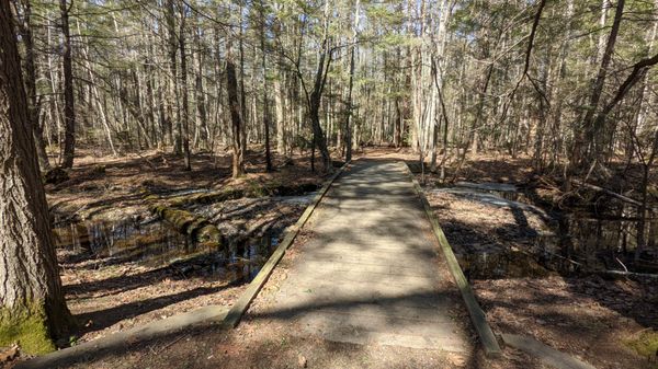 Ferry Beach State Park by null
