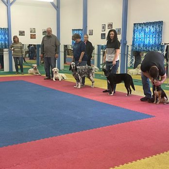 Shadyrock School For Dogs - Pet Training Near Me - Altoona, Pennsylvania Shadyrock School For Dogs - Pet Training Near Me - Altoona, Pennsylvania