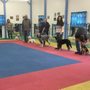 Photo of Shadyrock School For Dogs