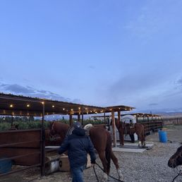 Stable