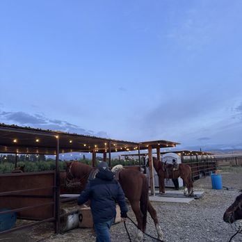 Cowboy Trail Rides - Stable - Horseback Riding Near Me - Tracy, California