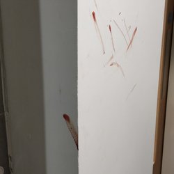 Arran House - What kind of hygiene standards does this shithole have