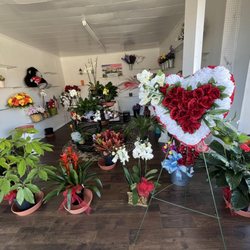 Freedom Flowers