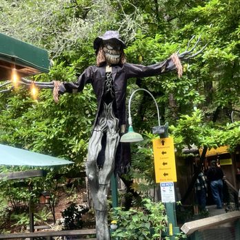 Mystery Spot - Amusement Parks Near Me - Santa Cruz, California Mystery Spot - Amusement Parks Near Me - Santa Cruz, California