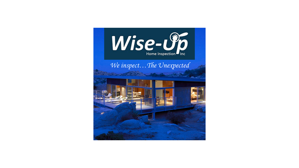 Wise-up Home Inspection - mold inspector in Knoxville, TN