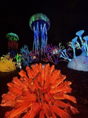 Koka Booth Amphitheatre by null