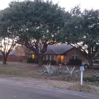 Sanchez Tree Service - Tree Services Near Me Sanchez Tree Service - Tree Services Near Me
