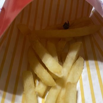 McDonald's - Dead fly at the bottom of fries. - Fast Food Near Me - Monrovia, California McDonald's - Dead fly at the bottom of fries. - Fast Food Near Me - Monrovia, California