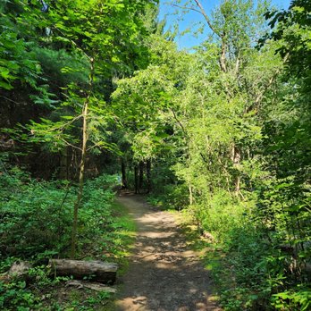 Tews Falls - Hiking Near Me - Dundas, Ontario
