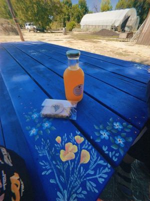 Peace and Plenty Farm by null