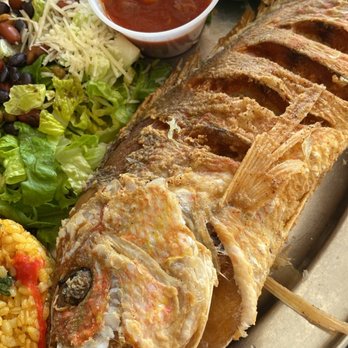 La Parrilla - Red Snapper - Latin American Near Me - Luquillo, Puerto Rico La Parrilla - Red Snapper - Latin American Near Me - Luquillo, Puerto Rico