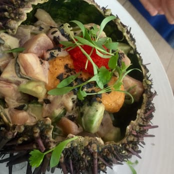 Driftwood Kitchen - Uni and hamachi. Disappointing - Seafood Near Me - Laguna Beach, California Driftwood Kitchen - Uni and hamachi. Disappointing - Seafood Near Me - Laguna Beach, California